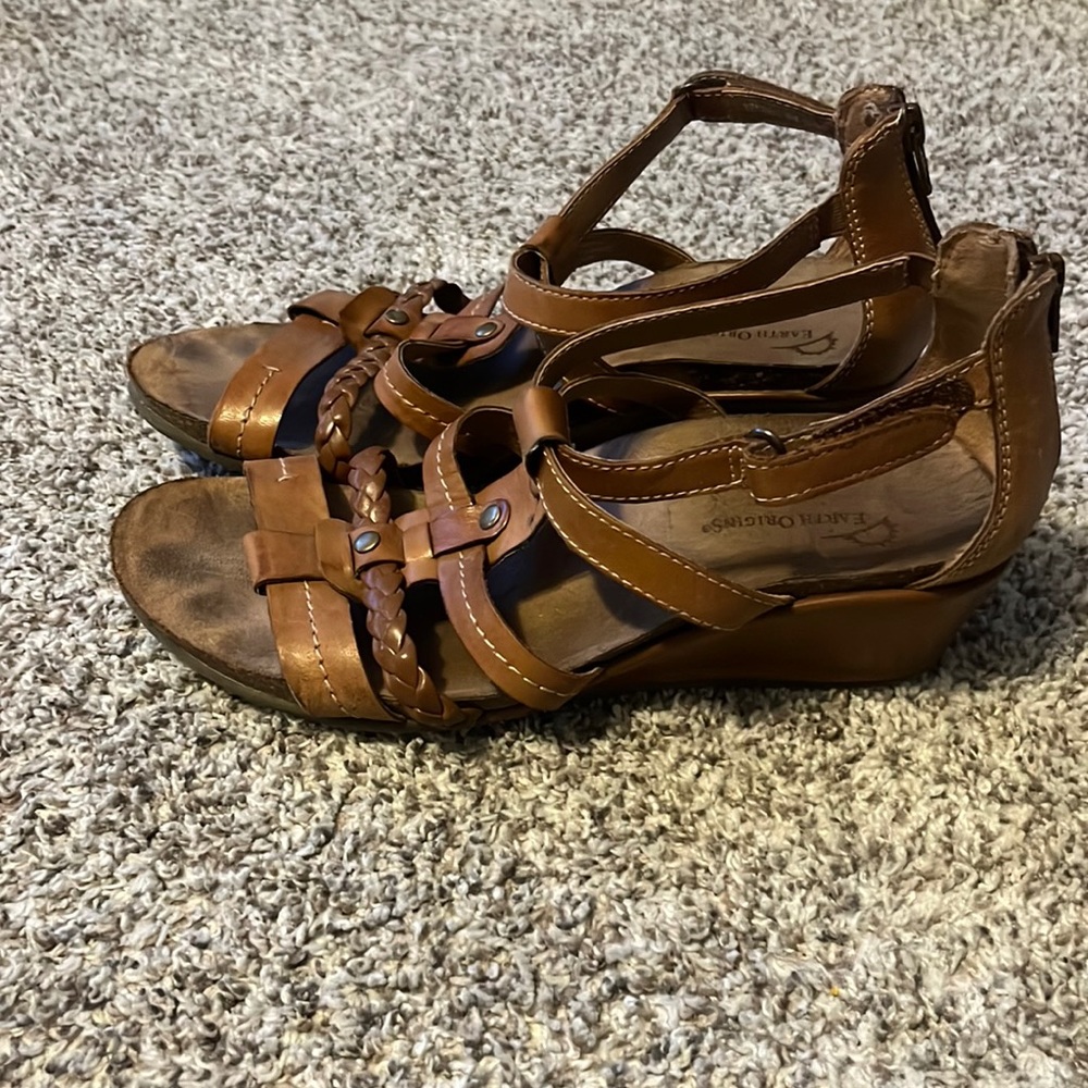 Earth Origins wedges